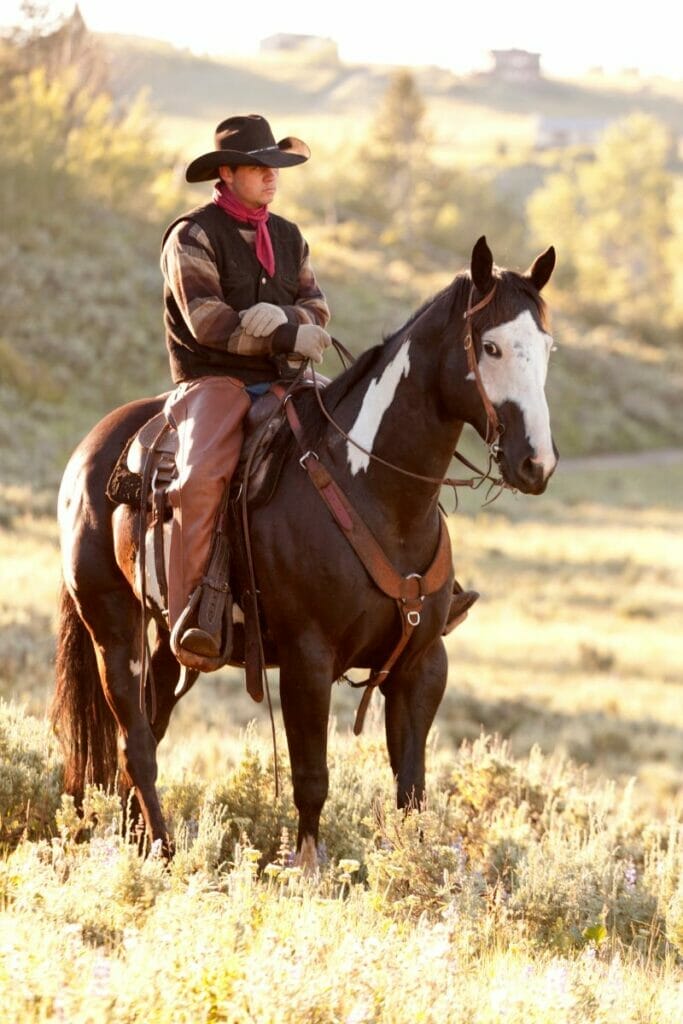 Cowboy in Montana 