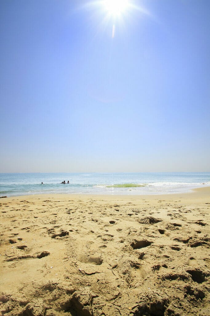 Sandbridge Beach 