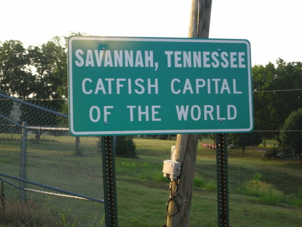 Savannah TN 
