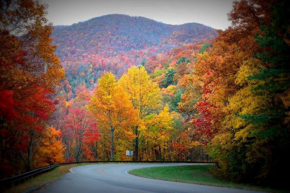 Tellico Plains 