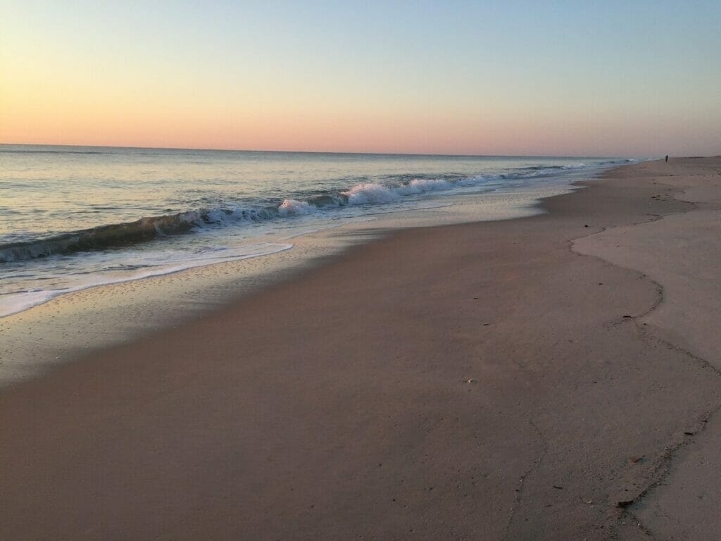 Assateague Island 