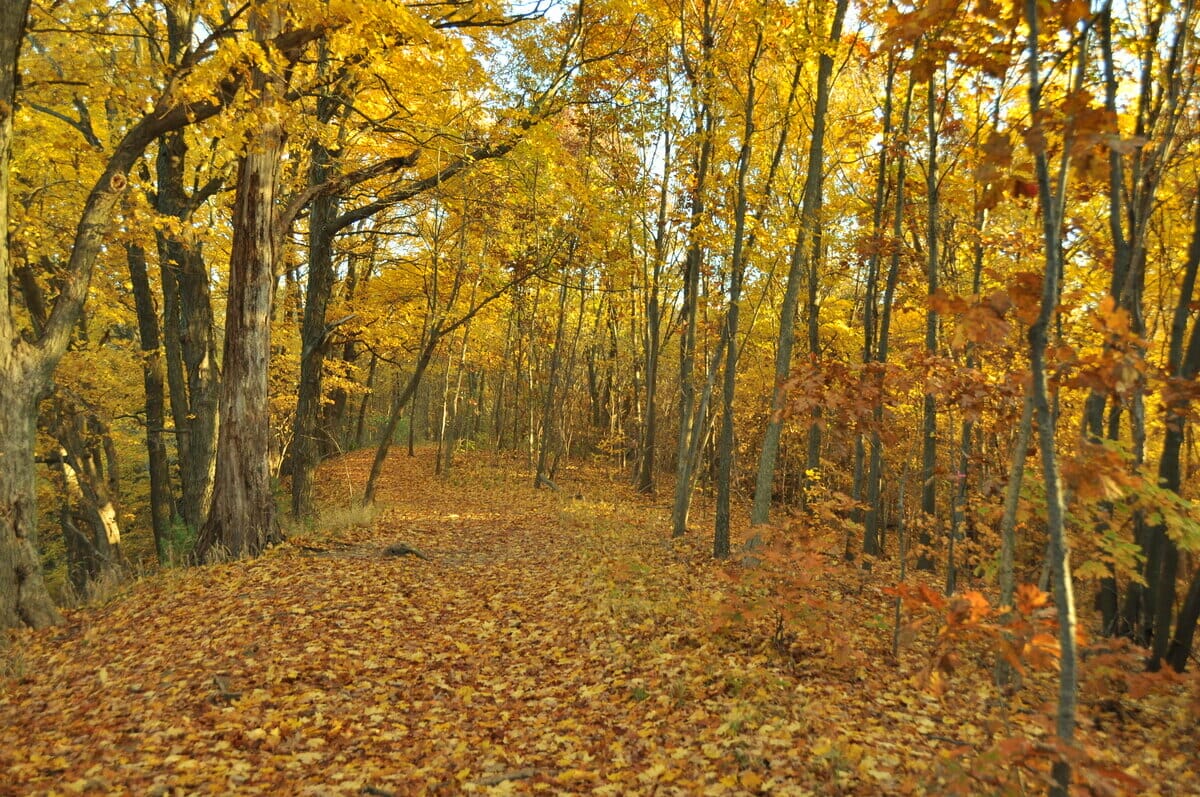 19 Charming Small Towns in Missouri that You Need to Visit (2023)