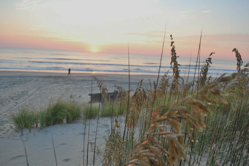 False Cape State Park 