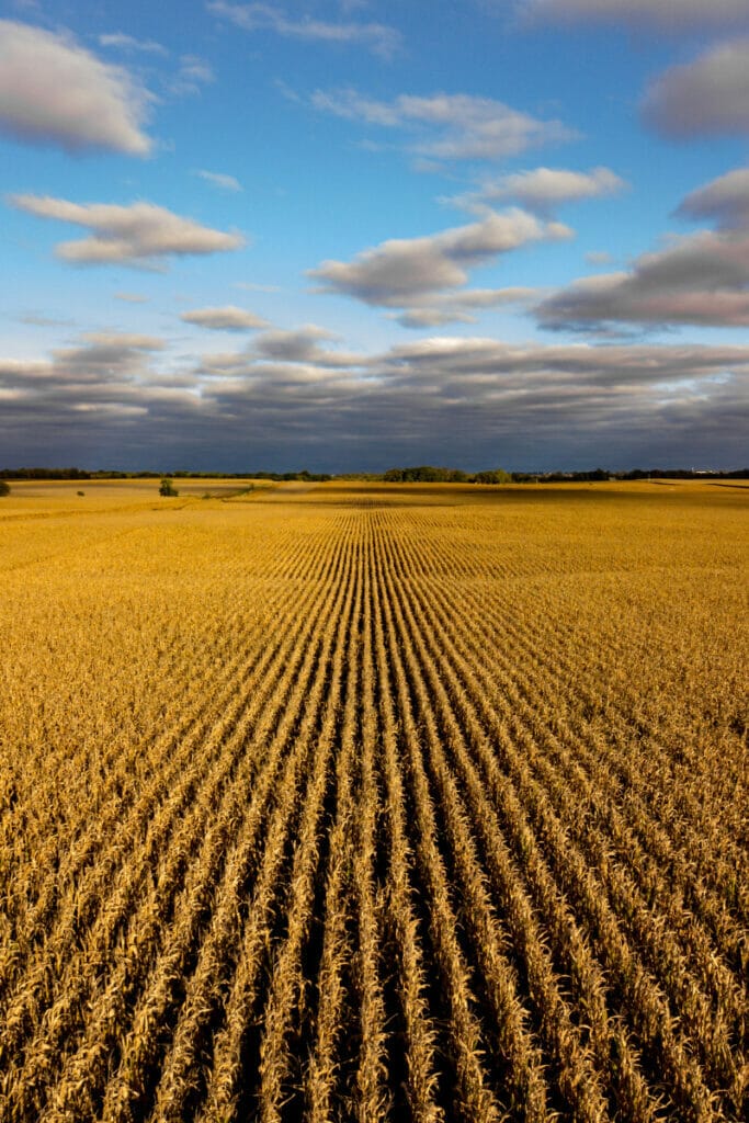 Nebraska farm