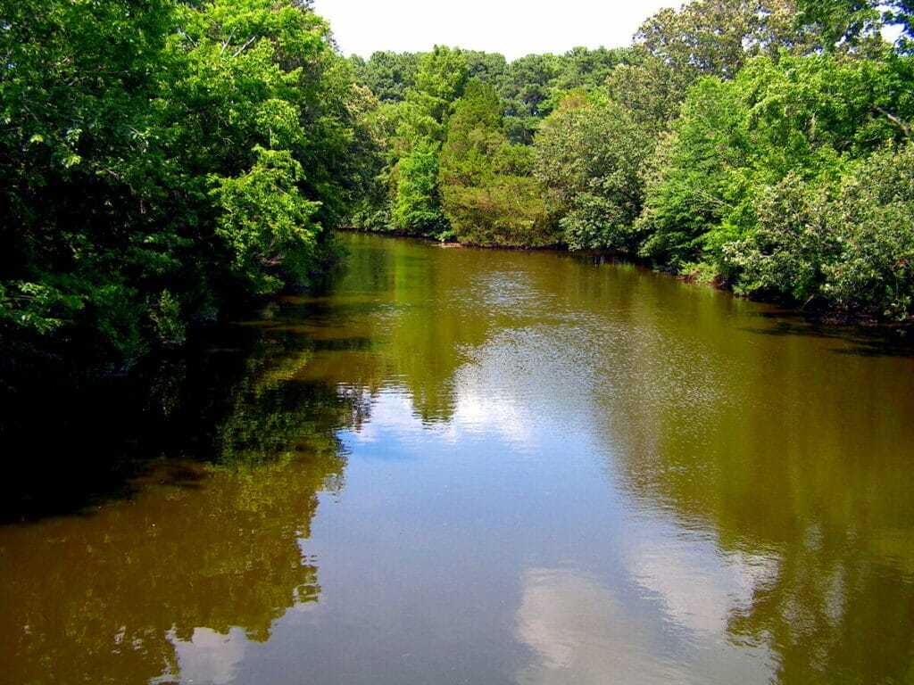 Elizabeth River