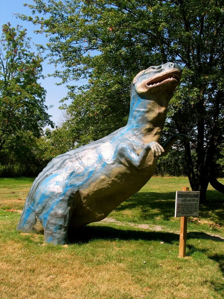 Dinosaur Land