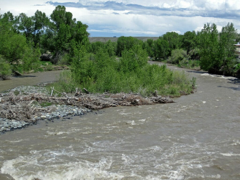Greybull