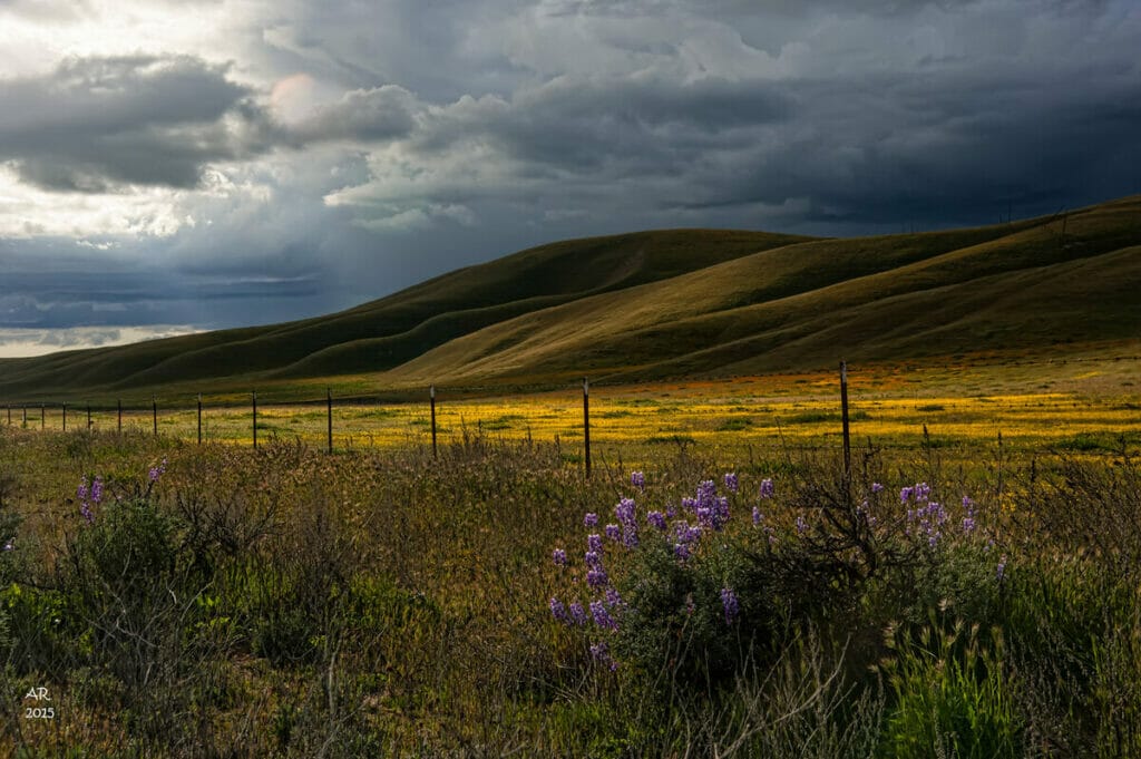 San Luis Obispo 