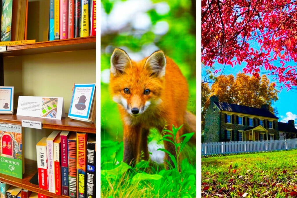 Things to do in Winchester