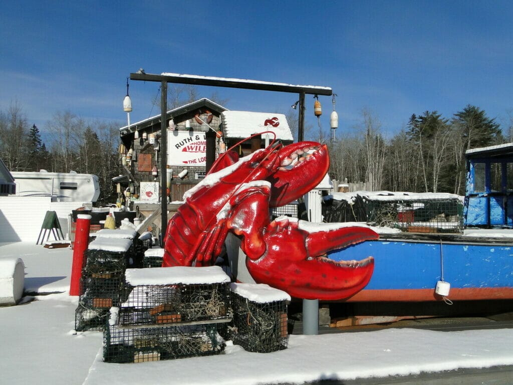 Maine Lobster