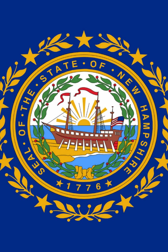 New Hampshire flag 