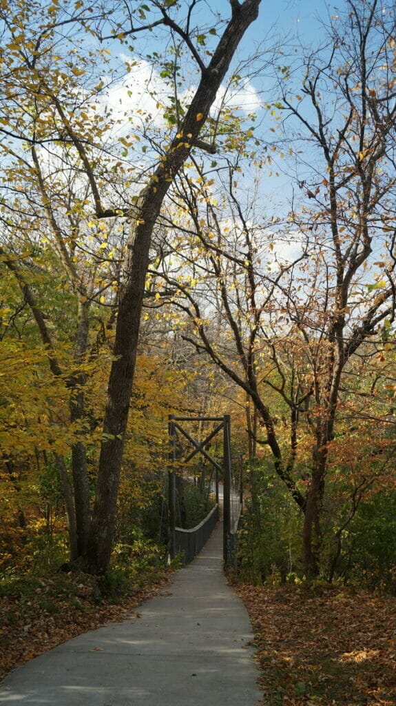 Redwood Falls
