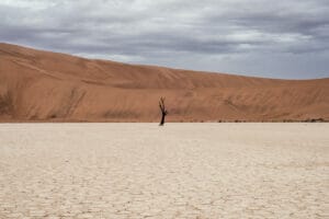 101 Unique Desert Instagram Captions For The Perfect Post Desert Instagram Captions 3 1 300x200