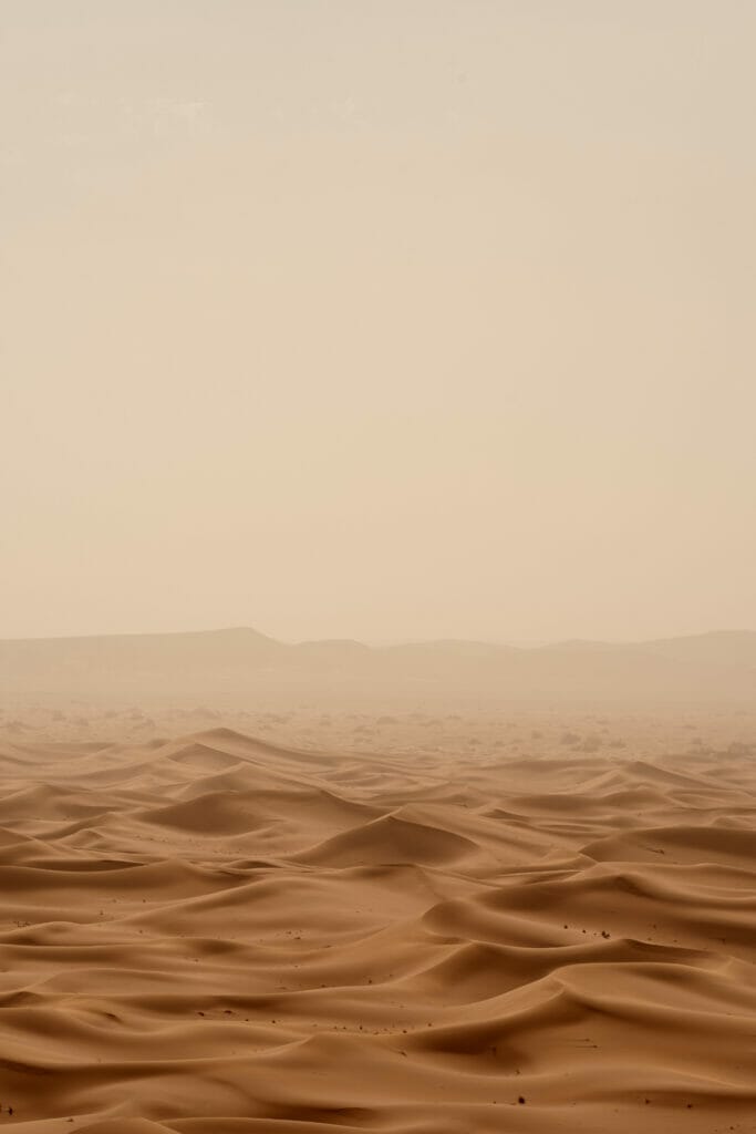 desert trip captions