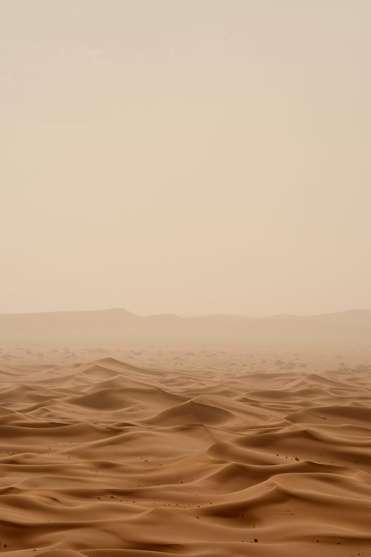 101 Unique Desert Instagram Captions For The Perfect Post Desert Instagram Captions 4