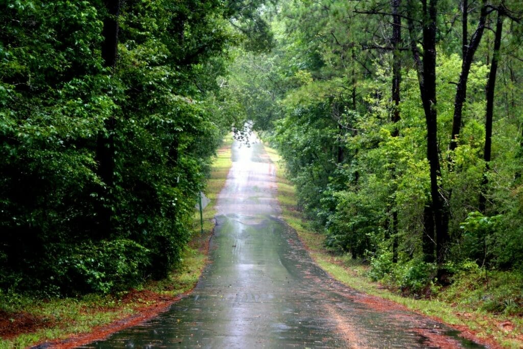 Mississippi rain