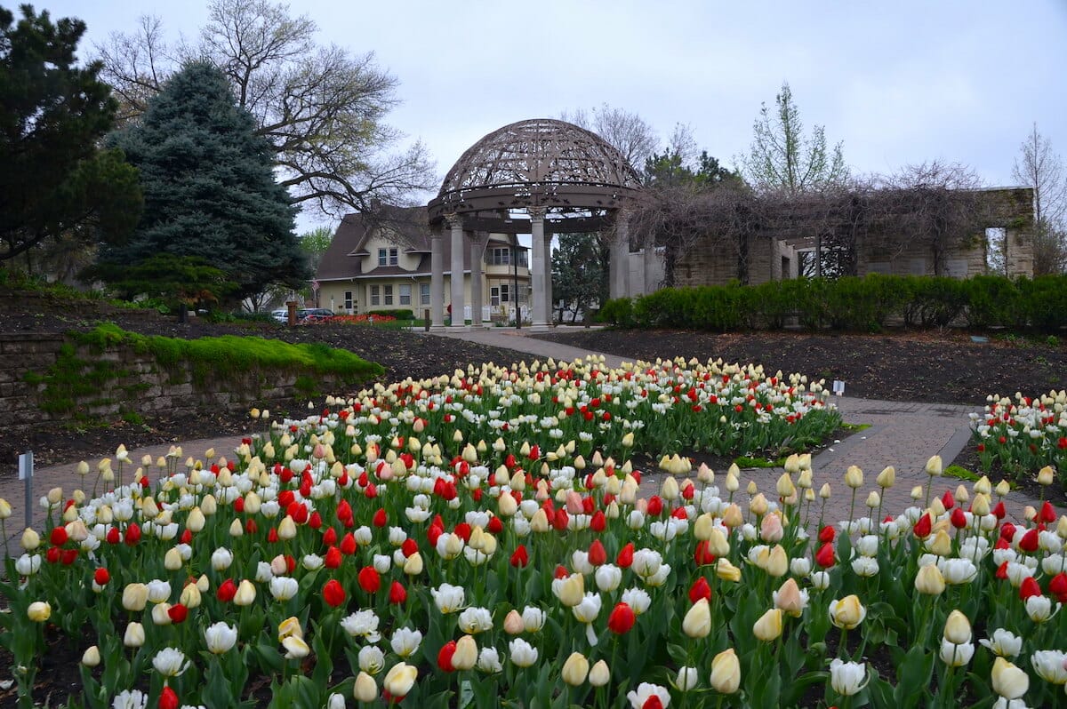Sunken Gardens in Lincoln NE, with red, white, and yellow tulips in front of a gazebo.