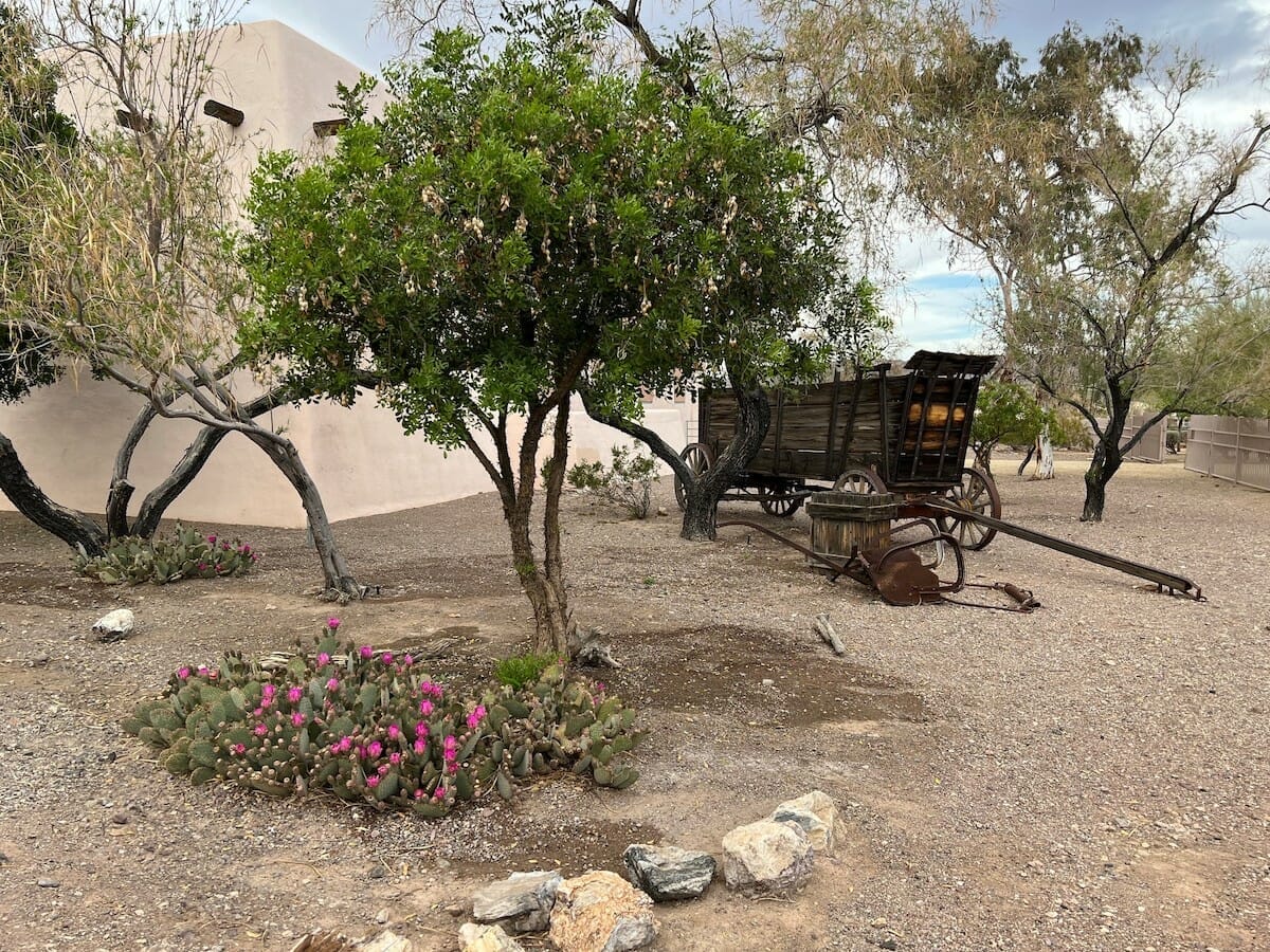 An old wagon amongst trees at the Clark County Heritage Museum in Henderson Nevada
