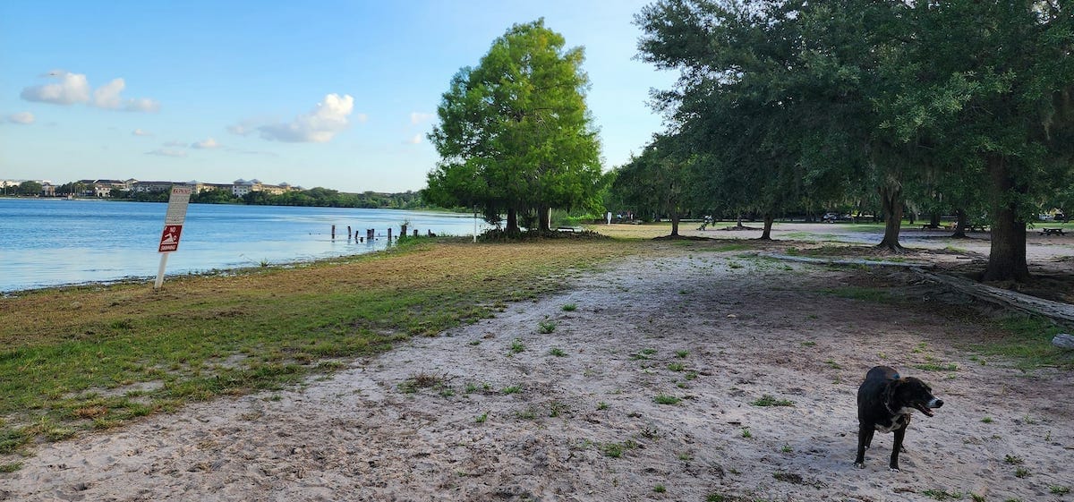 Wide view of the lake shore at Lake Baldwin Park near Orlando Florida