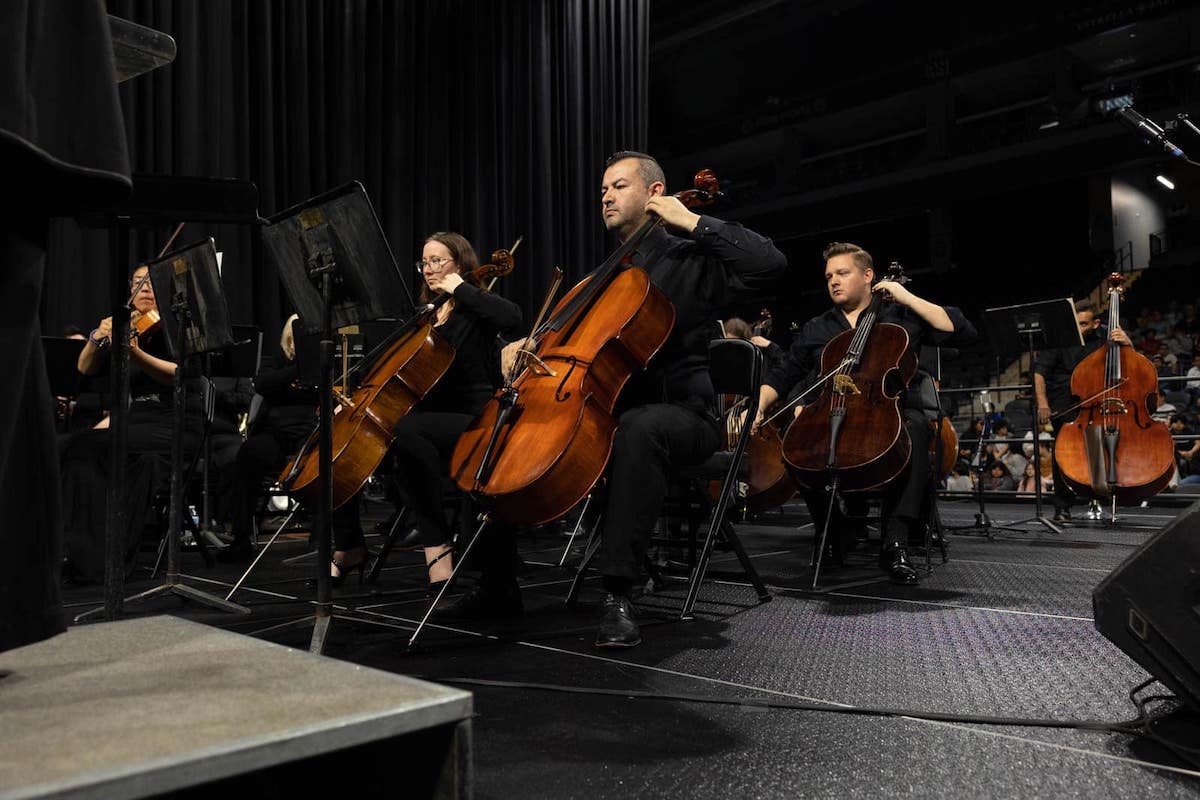 Members of the Henderson Symphony Orchestra play during a performance