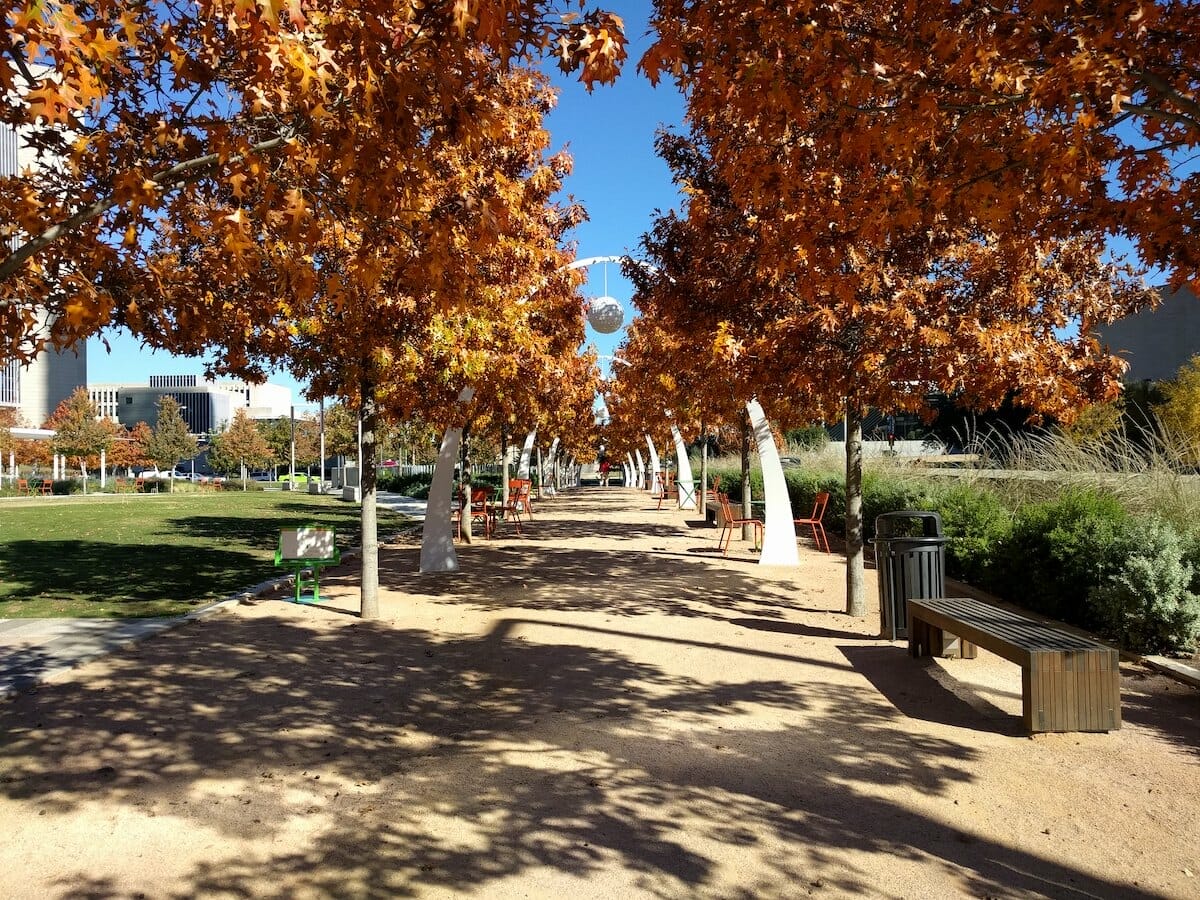 A clean dirt walkway between green grass and lush bushes, shaded by orange-leaved trees, in Klyde Warren Park, Dallas.
