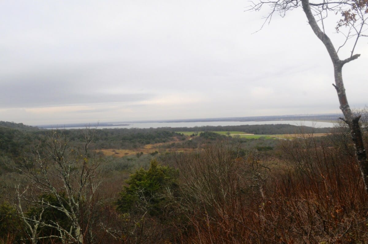 View of Joe Pool Lake from Cedar Ridge Preserve