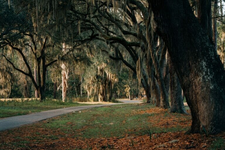 51 Fun Facts about South Carolina (that most people don't know!)