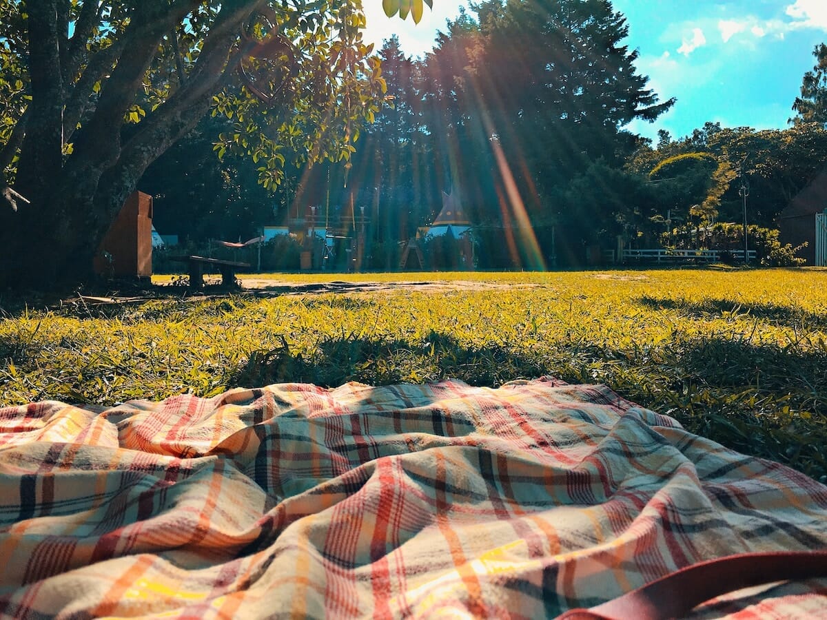 Picnic blanket spread out on a grassy area