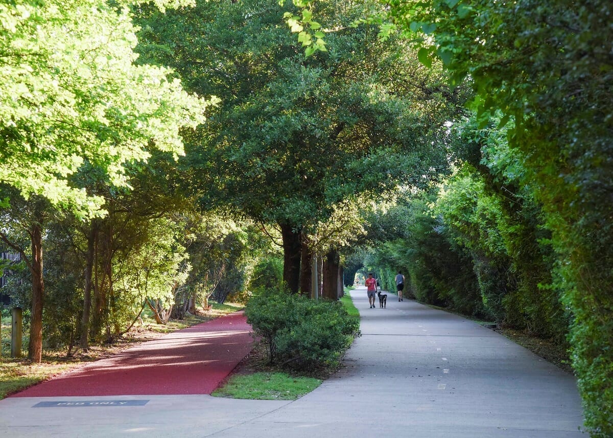 A canopy of trees shade the paved paths at Katy Trail in Dallas