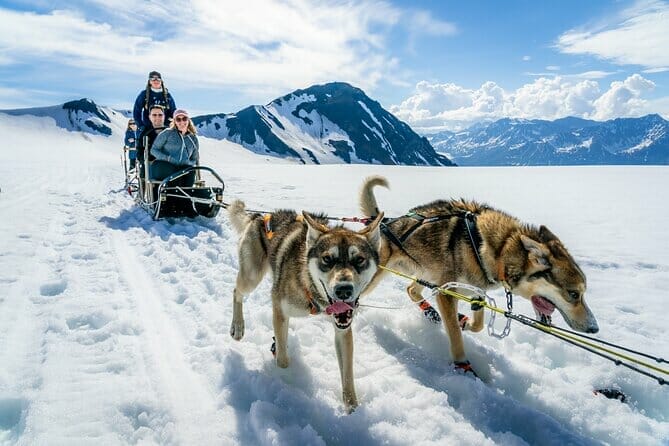 anchorage downtown tour group reviews