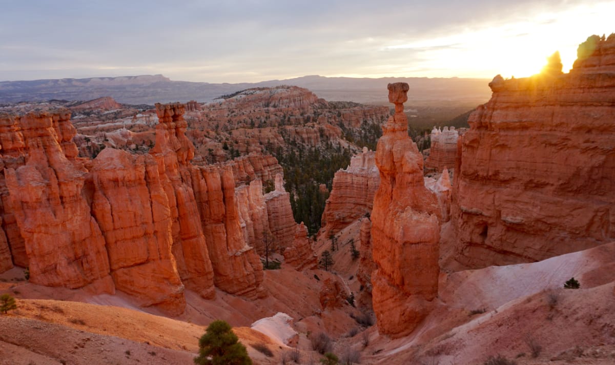 bryce canyon tours for seniors