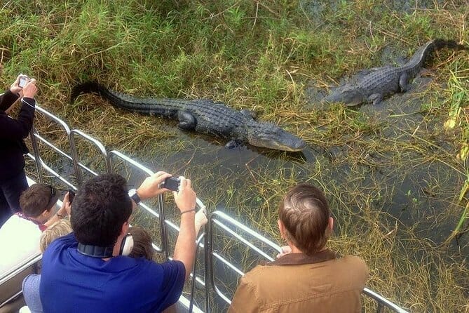 best tour everglades