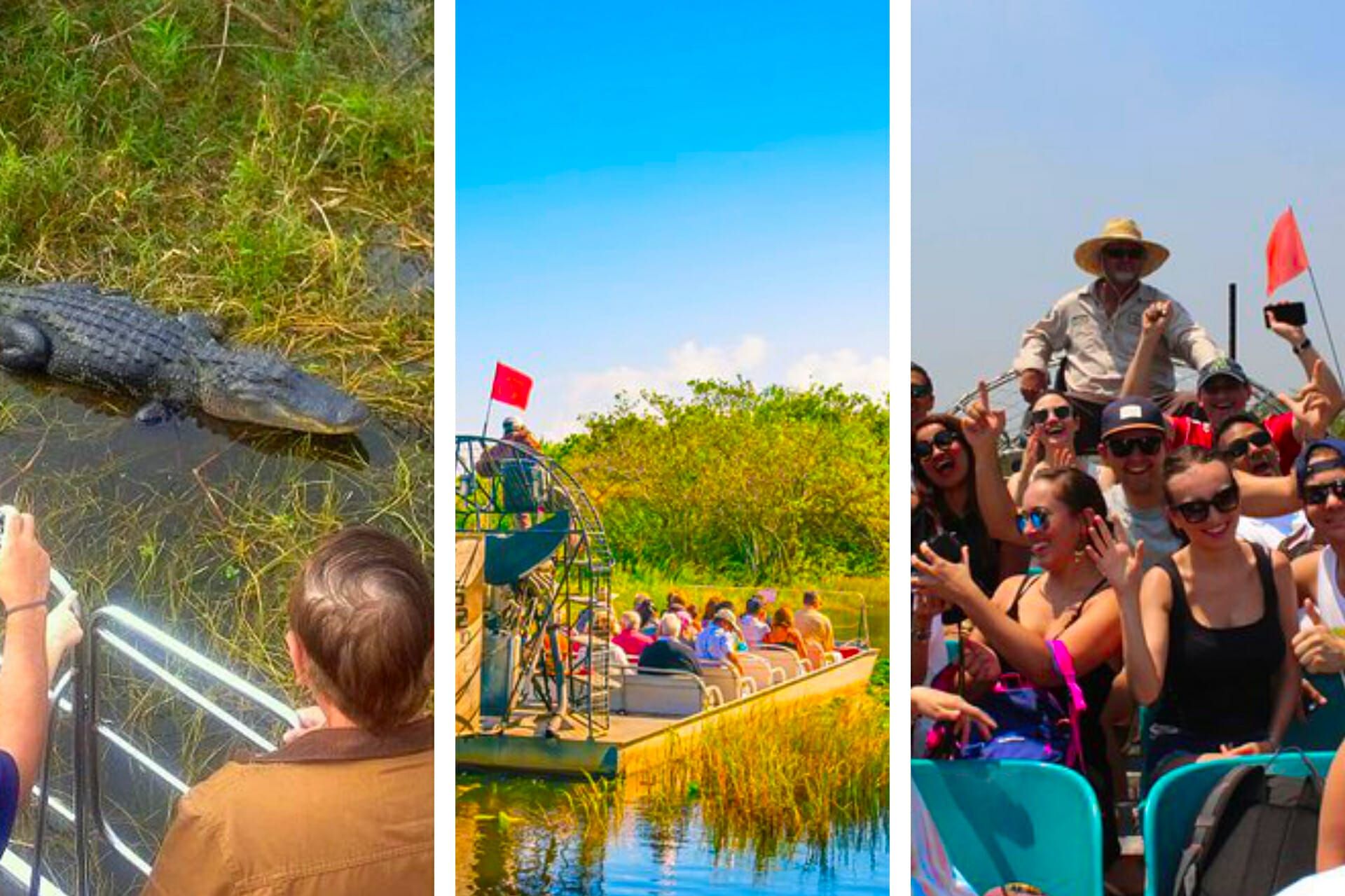 19ベストエバーグレーズエアボートツアー2024(ローカル承認!)