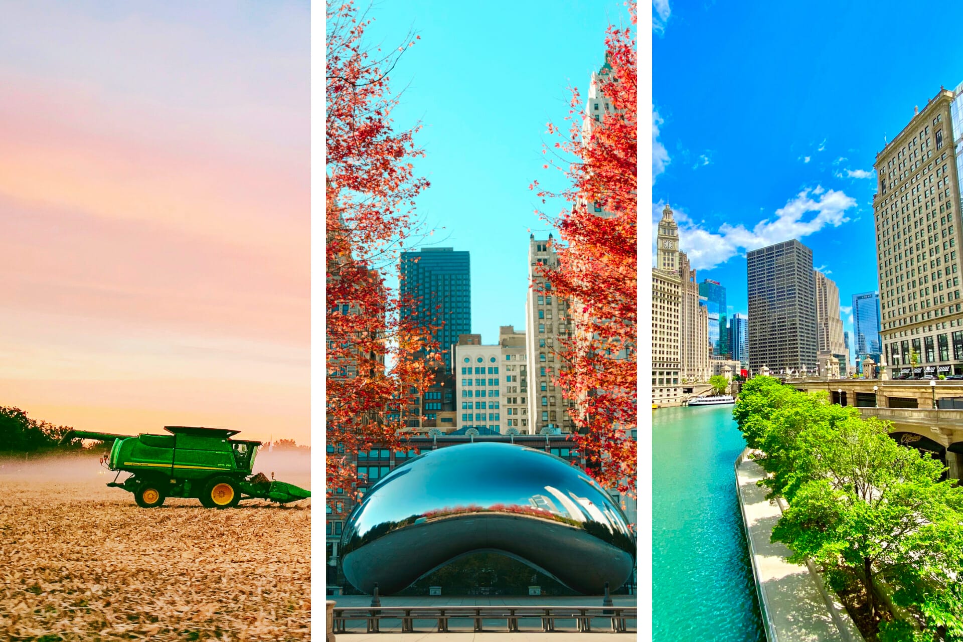 25 Amazing Things Illinois is Known For (+ Famous For!)