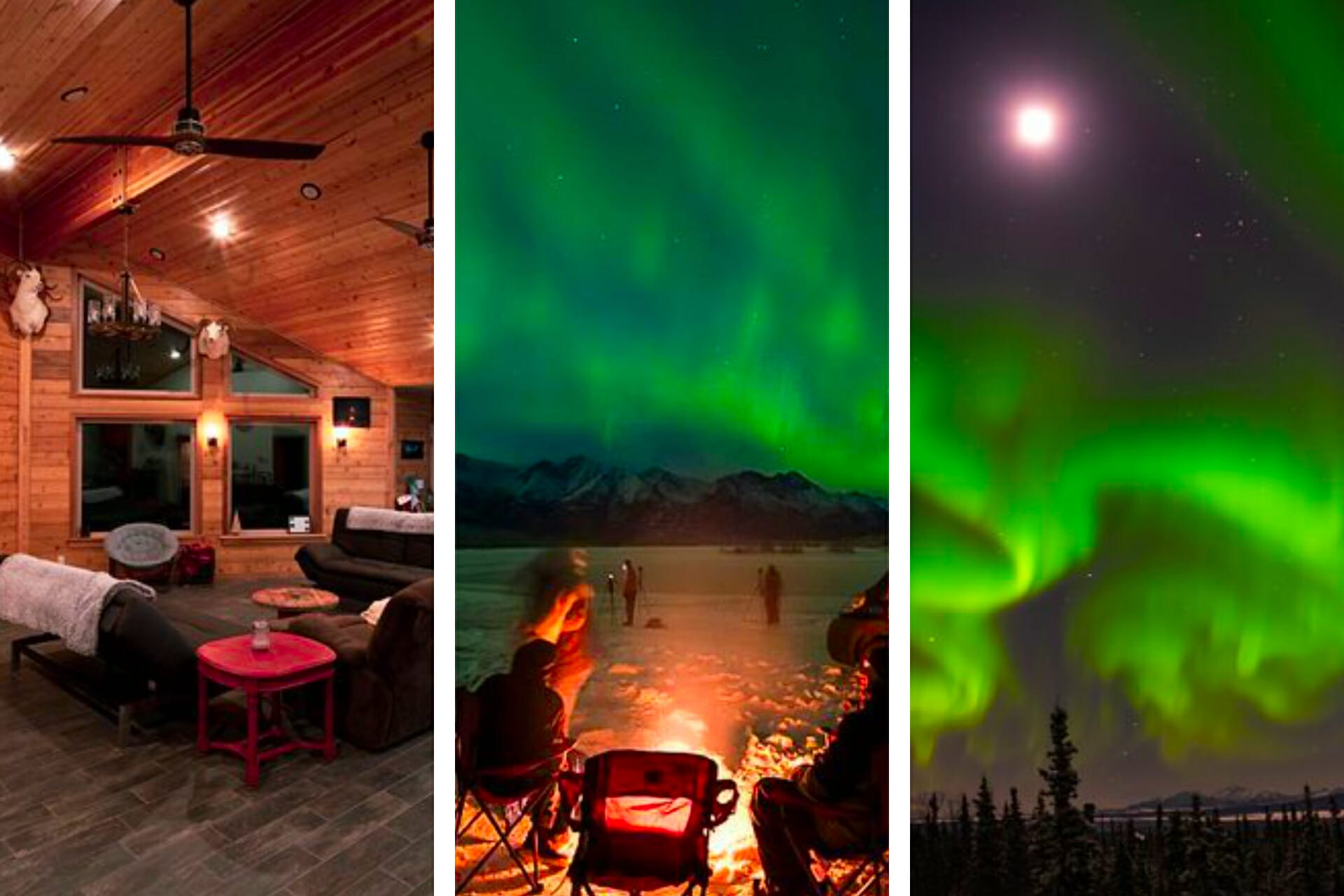 7 Best Northern Lights Tours from Fairbanks 2023 (local approved!)