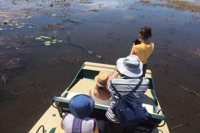 best tour everglades