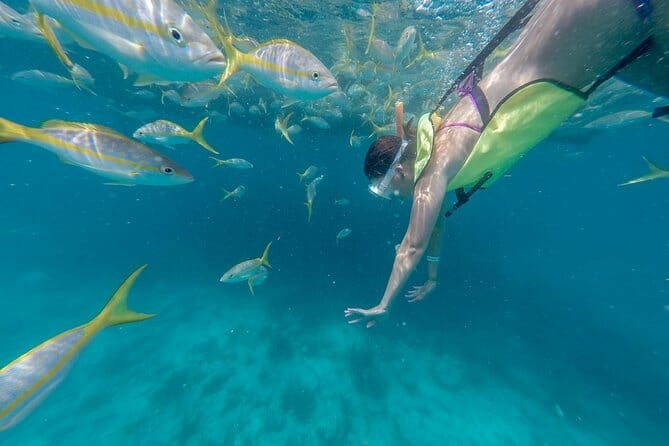 key west fury catamaran snorkeling trips