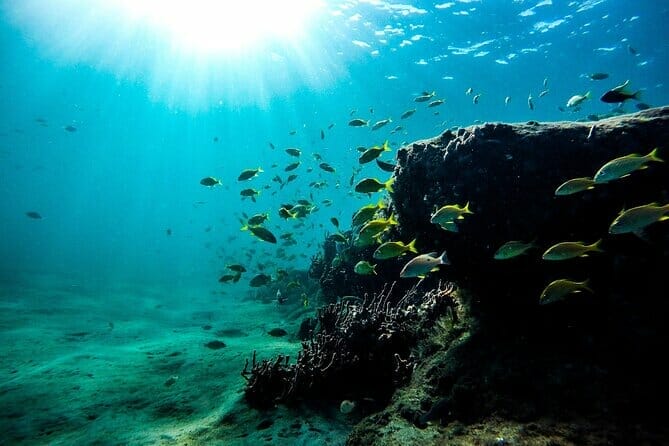 key west snorkling tour