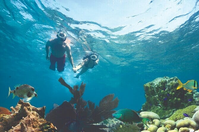 key west fury catamaran snorkeling trips