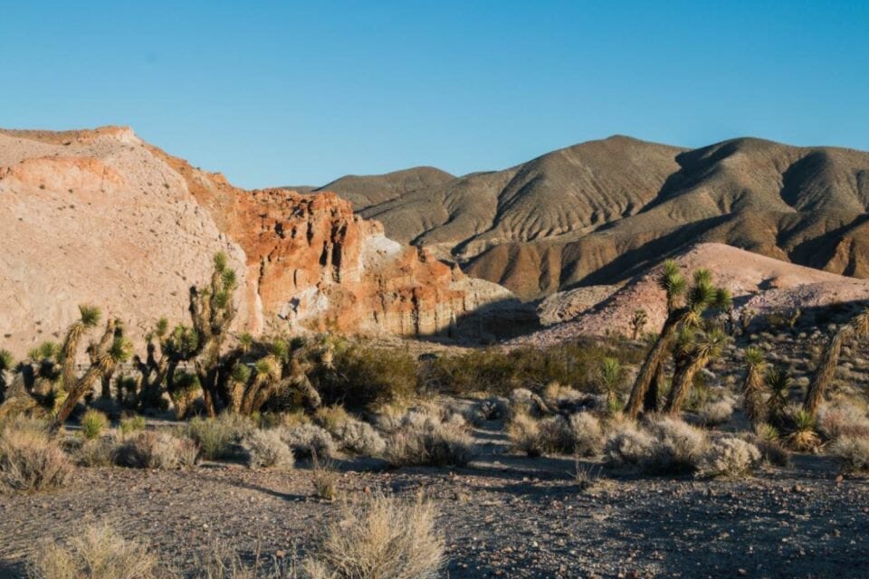 tour to red rock canyon