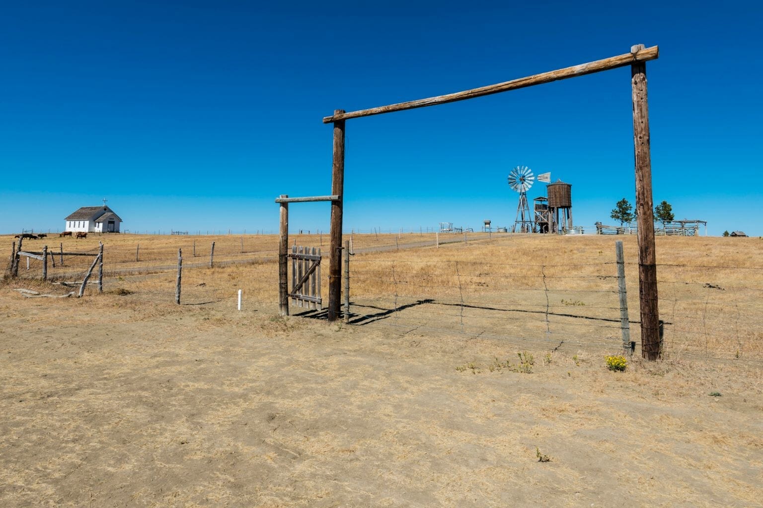 What is South Dakota Famous For? 20+ Things South Dakota is Famous For