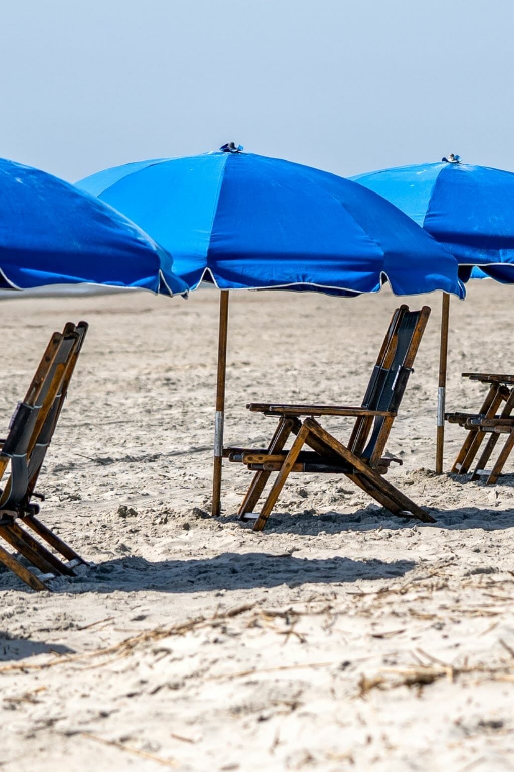 25 Amazing Things South Carolina is Known For (+ Famous For!)