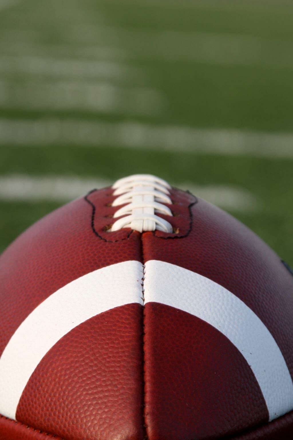 25 Amazing Things South Carolina is Known For (+ Famous For!)