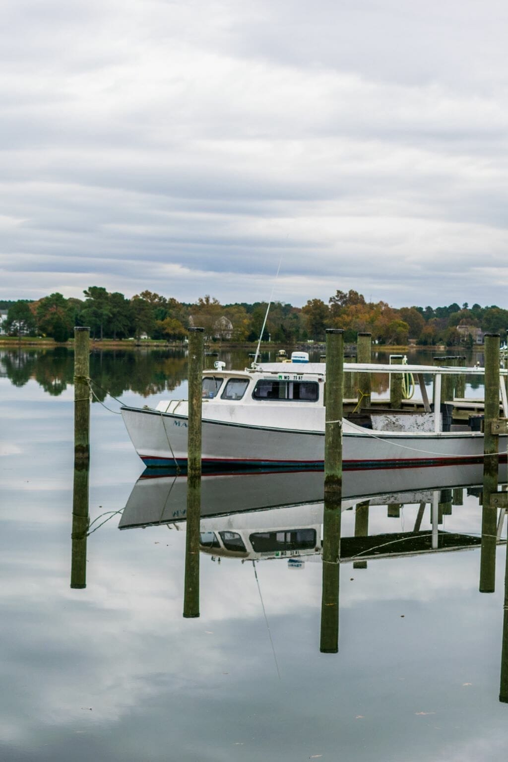 What is Virginia Known for? 37+ Things Virginia is Famous For