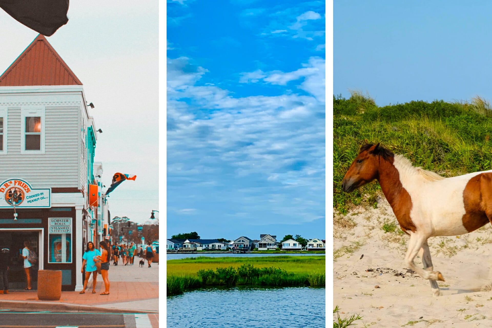 27 Interesting Things Maryland is Known For (+ Famous For)