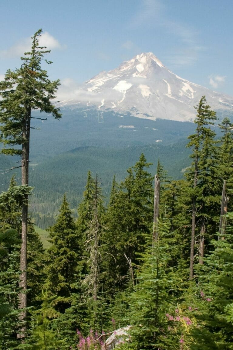 29 Cool Things Oregon is Known For (+ Famous For)