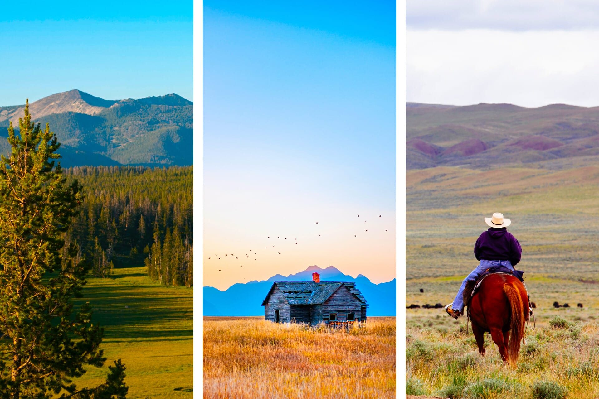 27素晴らしいものモンタナは（+有名）で知られています