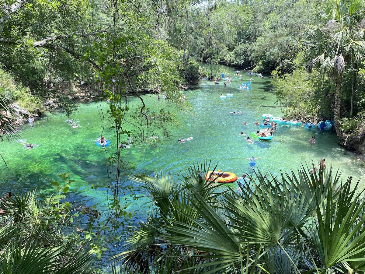 Blue Spring State Park near Orlando Florida
