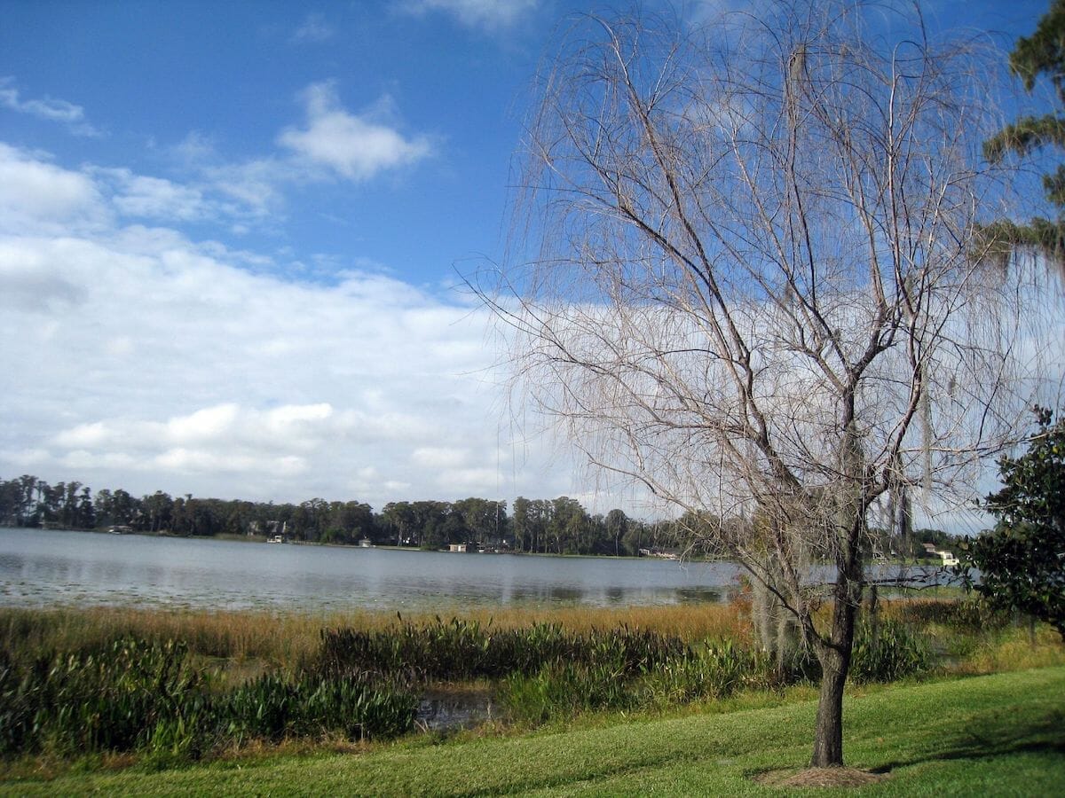 view of Lake Jessamine from Cypress Grove Park in Orlando
