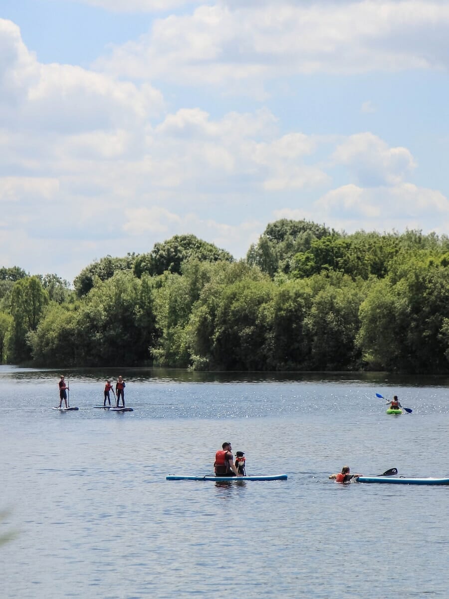 people paddleboarding on a lake